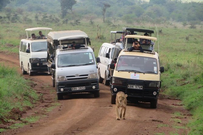 Nairobi National Park, Sheldrick Elephant, Giraffe Centre Tour - Karen Blixen Museum, Kobe Beads, and the itinerary problem
