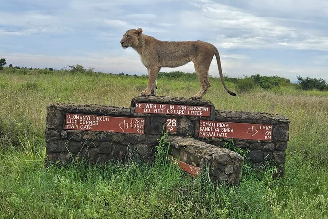 Nairobi National Park, Sheldrick Elephant, Giraffe Centre Tour - The Sheldrick elephant orphanage adds a human story