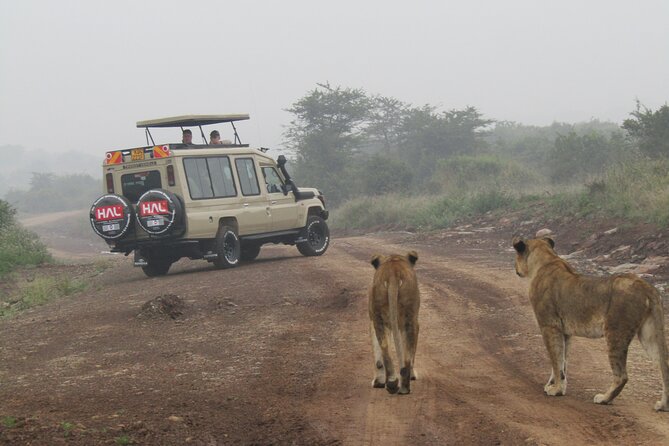 Nairobi National Park Sheldrick & Giraffe Centre Day Trip - Is $51.86 a good value?