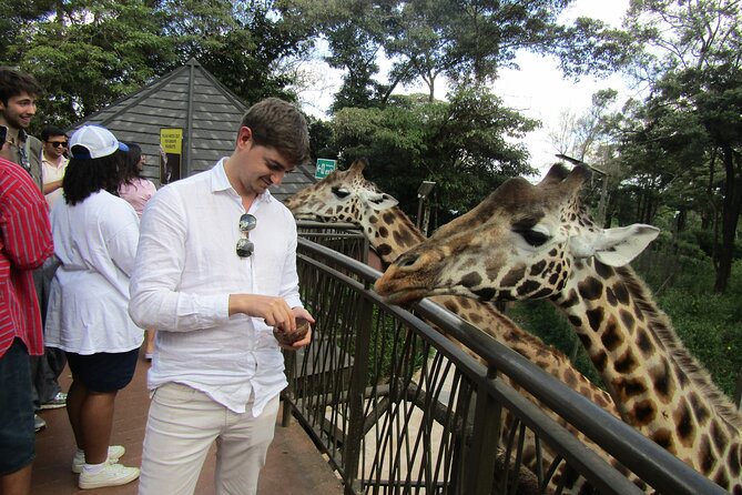 Nairobi National Park Sheldrick & Giraffe Centre Day Trip - Timing, food and what to bring