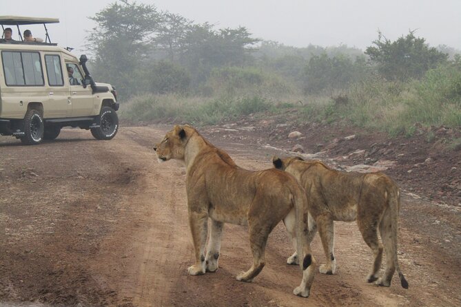 Nairobi National Park Sheldrick & Giraffe Centre Day Trip - Riding in the eight-seat safari van