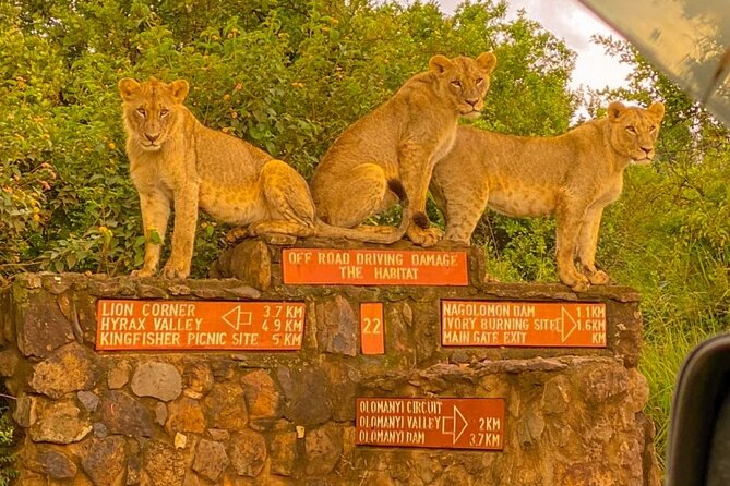 Nairobi National park sun rise game drive with pickup & drop-off - What $44 buys you