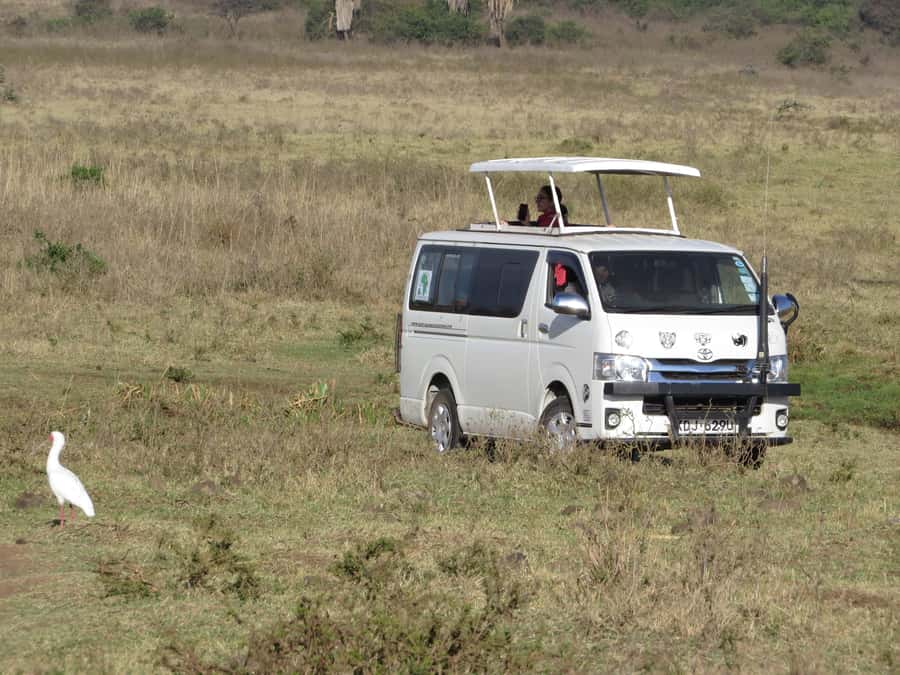 Nairobi national park: Sunrise and Sunset Tours - A city safari with a very early start
