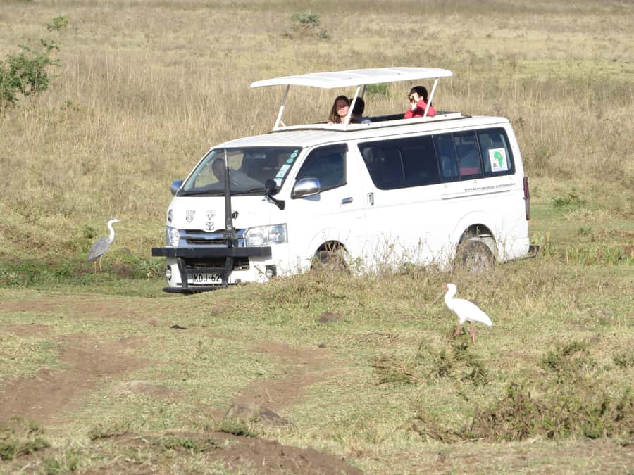 Nairobi national park: Sunrise and Sunset Tours - Sunrise or sunset, which should you choose?
