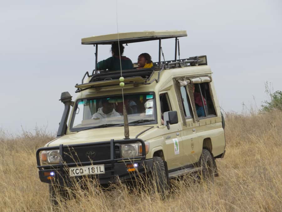 Nairobi national park: Sunrise and Sunset Tours - Pickup, drop-off, and the five-hour schedule