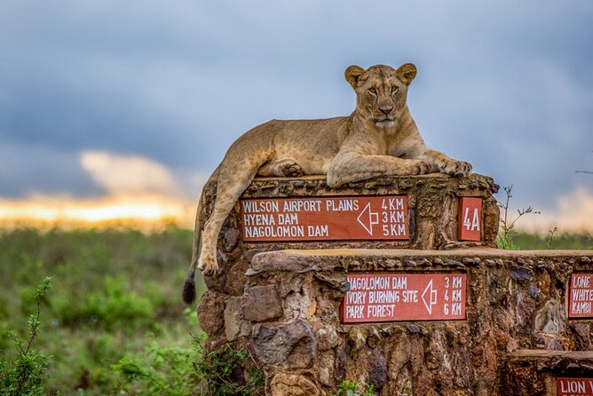 Nairobi National Park Tour - The guide can make or break a short drive