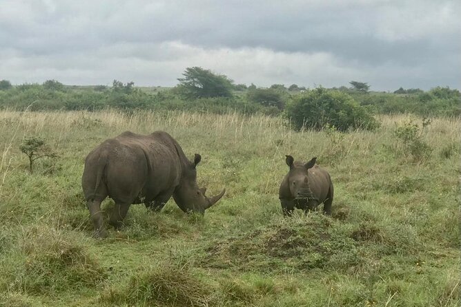 Nairobi National Park Tour - What to wear and bring