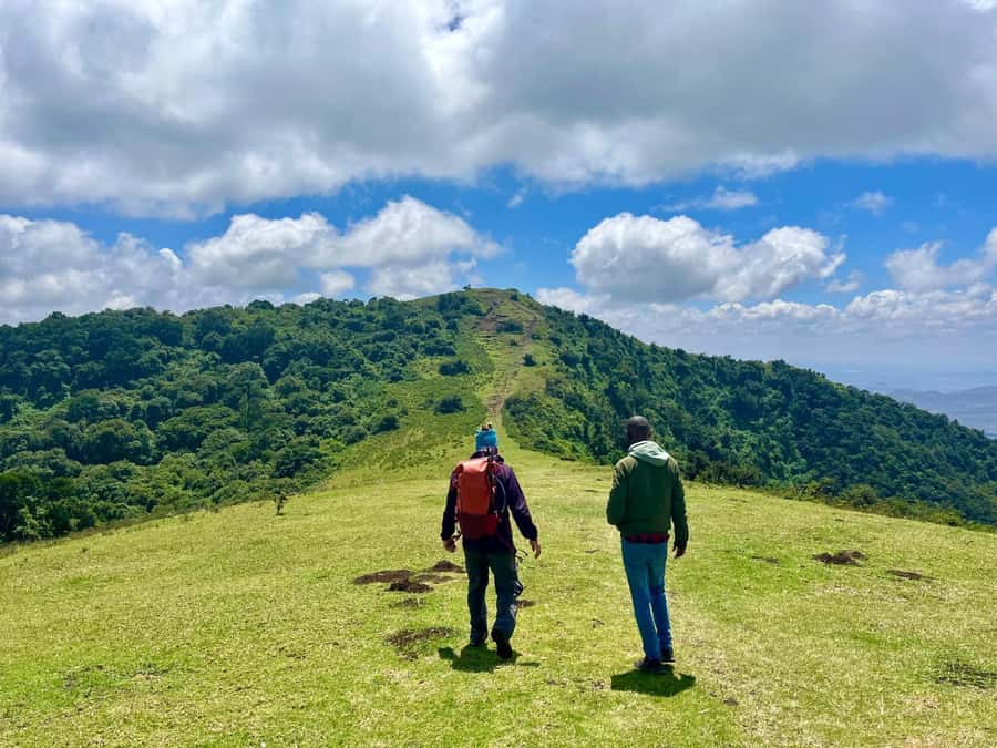 NAIROBI:Ngong Hills Day Hike,Group Tour - Climbing toward the indigenous forest