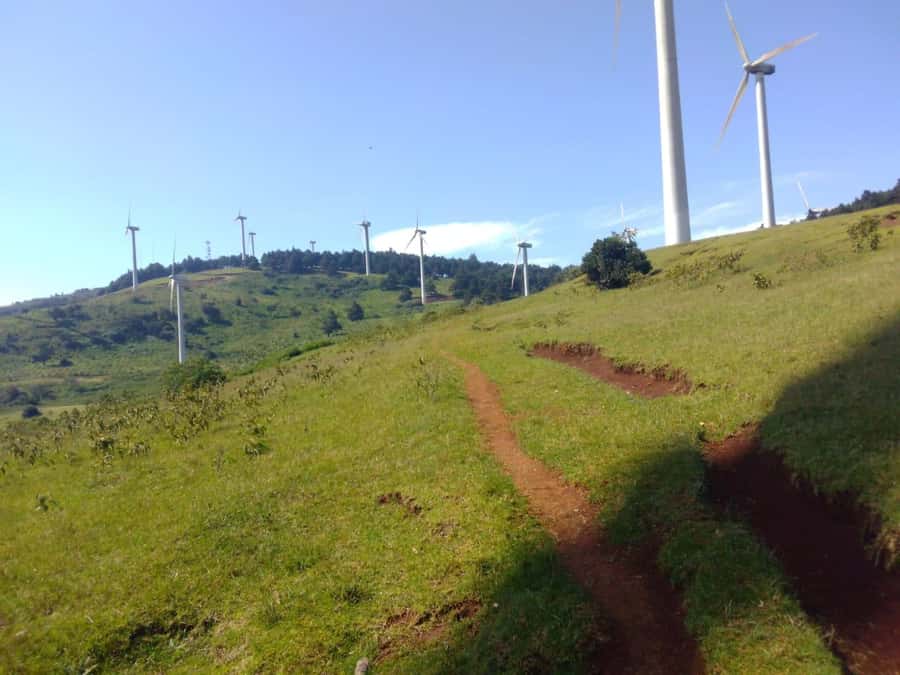 Nairobi: Ngong Hills Hiking and Zip Lining Tour - Indigenous Trees and a Guide’s Local Context