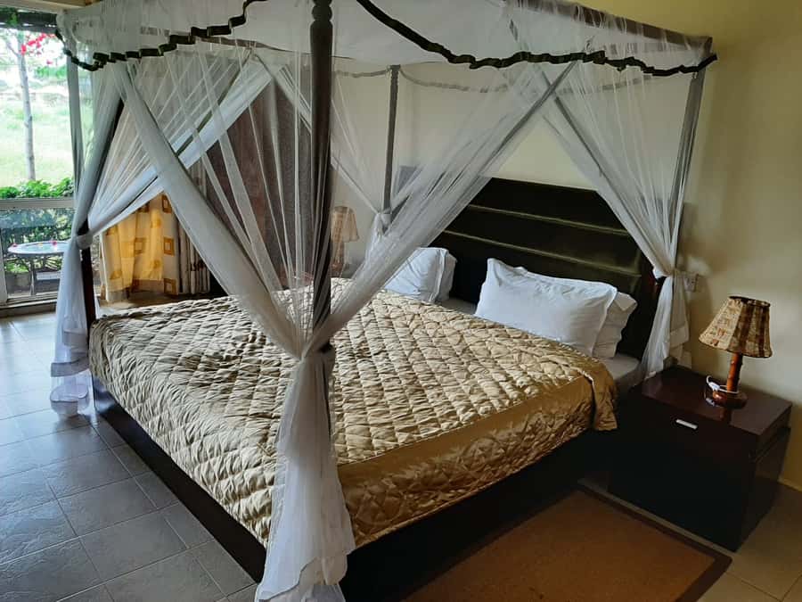 Nairobi: Overnight Safari Trip to Amboseli National Park - Lunch, rest, and the first Amboseli game drive