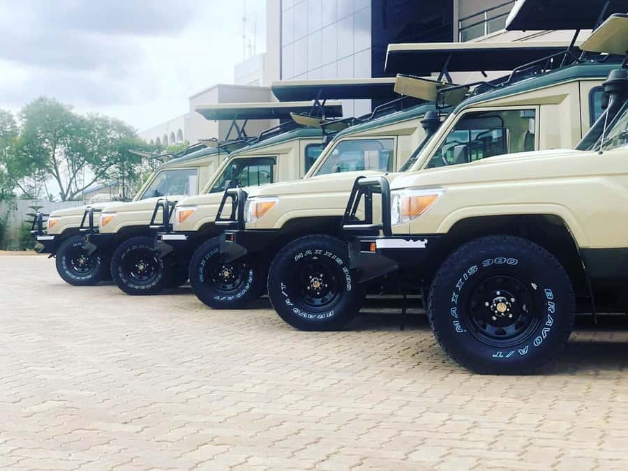 Nairobi: Overnight Safari Trip to Amboseli National Park - A night at AA Amboseli Lodge