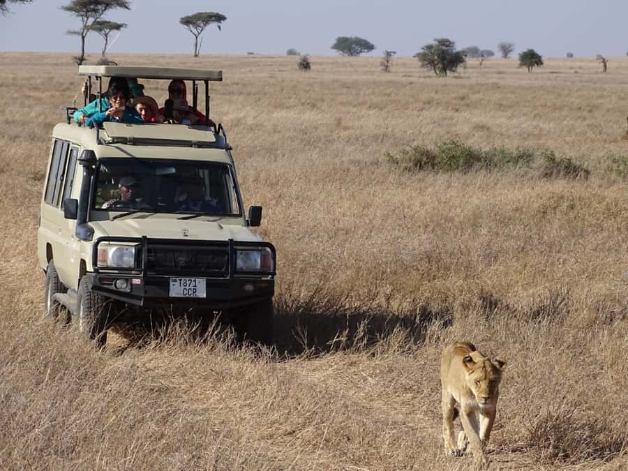 Nairobi: Overnight Safari Trip to Amboseli National Park - What wildlife can you reasonably expect