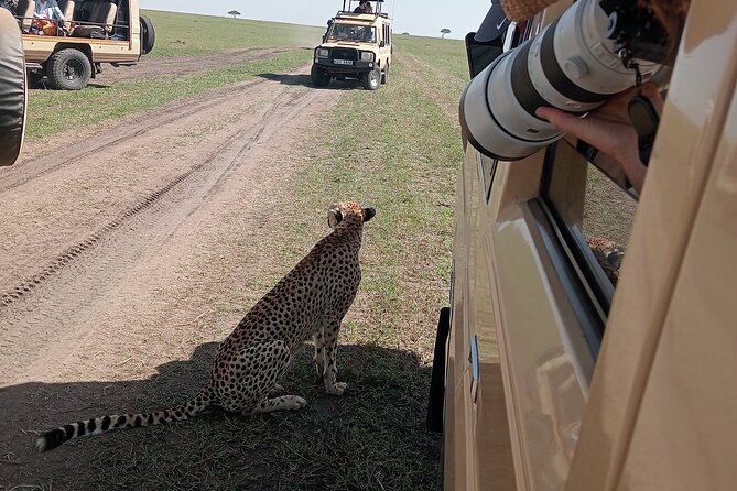 Nairobi Park Wildlife Safari - What you may see on the game drive