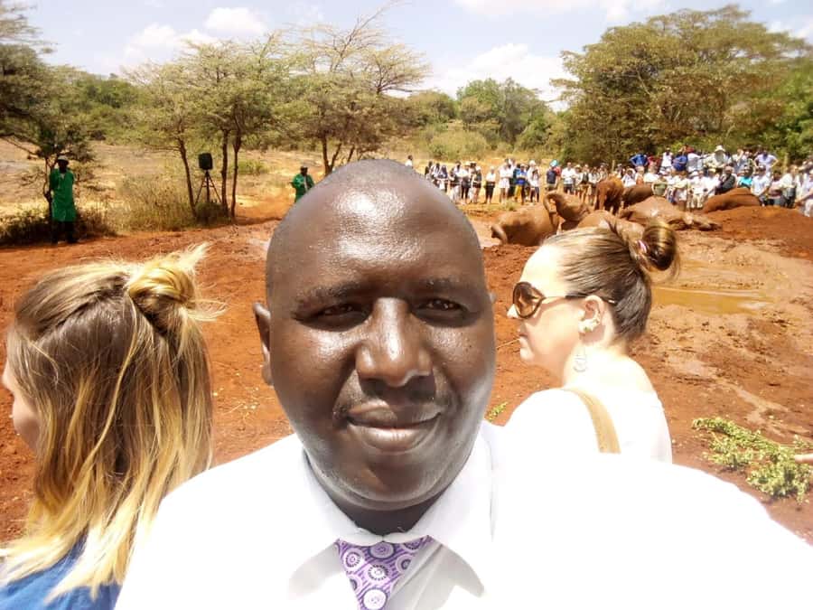 Nairobi: Private Elephant Orphanage Tour - The Nairobi National Park confusion