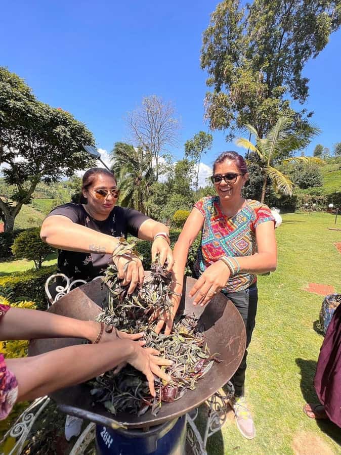 Nairobi: Purple Tea Farm Gatura Greens Day Trip - A bamboo forest walk to the waterfall