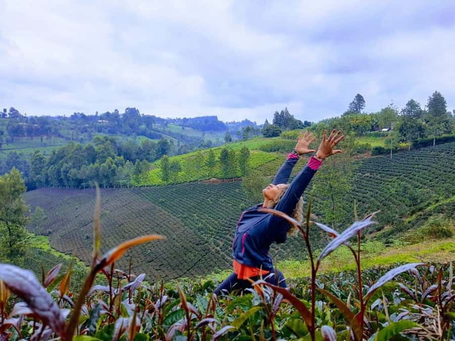 Nairobi: Purple Tea Farm Gatura Greens Day Trip - What the $99 practical cost gets you