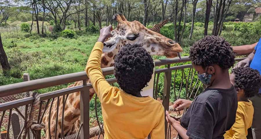 Nairobi: Sheldrick Elephant Orphanage and Giraffe Center - Two Nairobi conservation stops in one morning