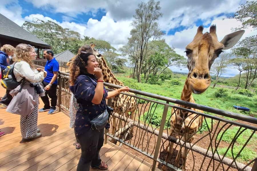 Nairobi: Sheldrick Elephant Orphanage and Giraffe Center - What the $90 price really covers