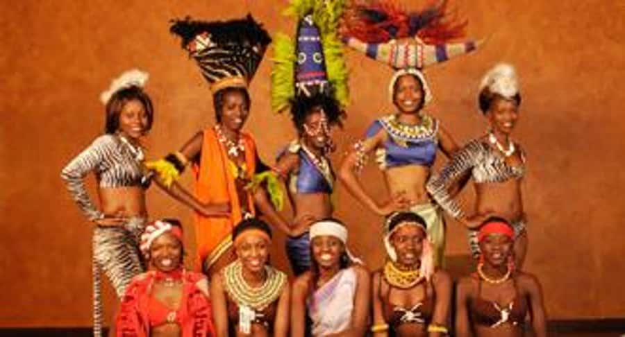 Nairobi: The Safari Cats Show Tickets & Buffet Dinner - Key points to know before you book