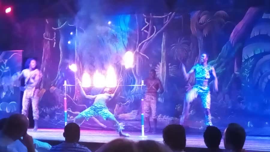 Nairobi: The Safari Cats Show Tickets & Buffet Dinner - Dinner timing and the 9 pm performance