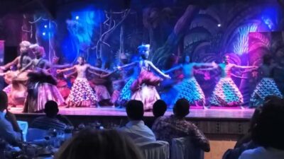 The Safari Cats Show Tickets & Buffet Dinner