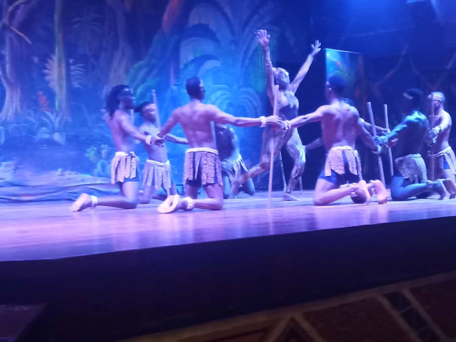 Nairobi: The Safari Cats Show Tickets & Buffet Dinner - The Safari Cats performance