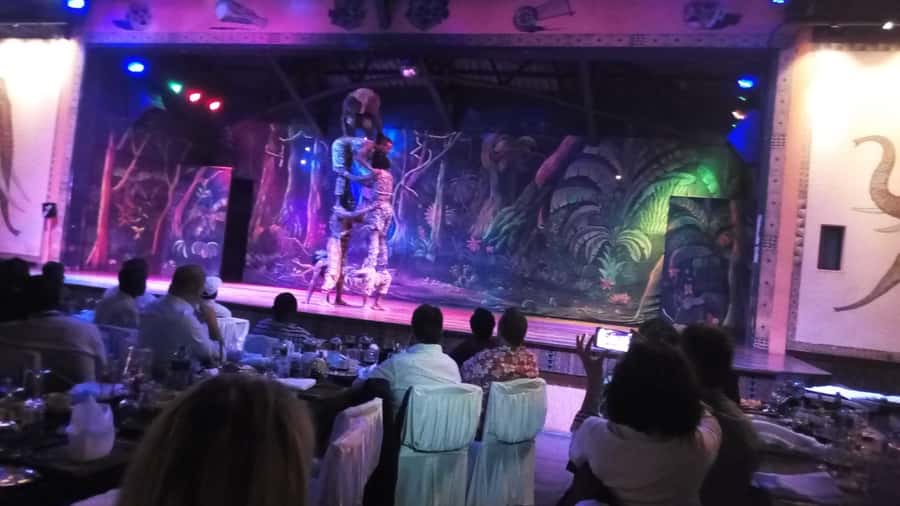 Nairobi: The Safari Cats Show Tickets & Buffet Dinner - Is $99 a fair price?