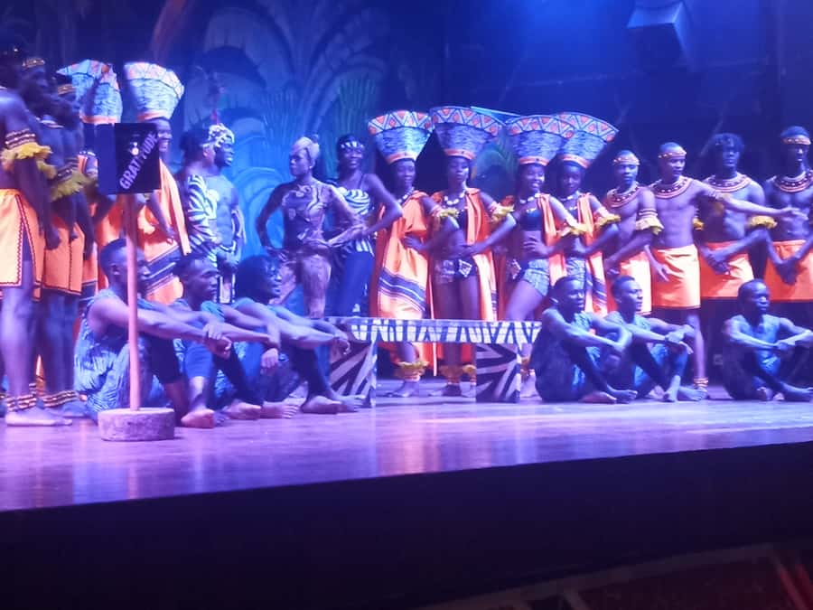 Nairobi: The Safari Cats Show Tickets & Buffet Dinner - Access, clothing, and practical preparation