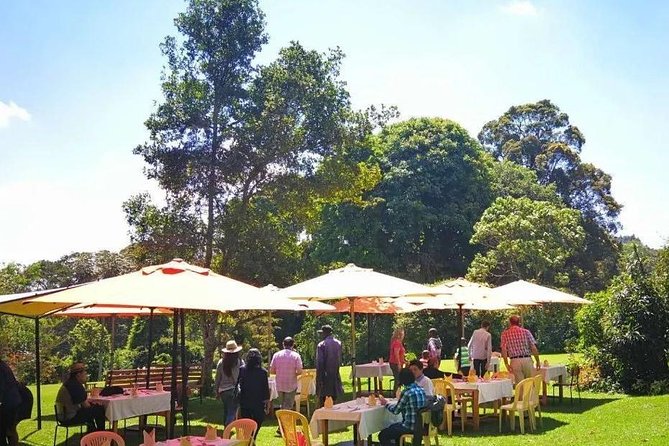 Nairobi to Kiambethu Tea Farm Tour - Leaving Nairobi for Kiambethu Tea Farm