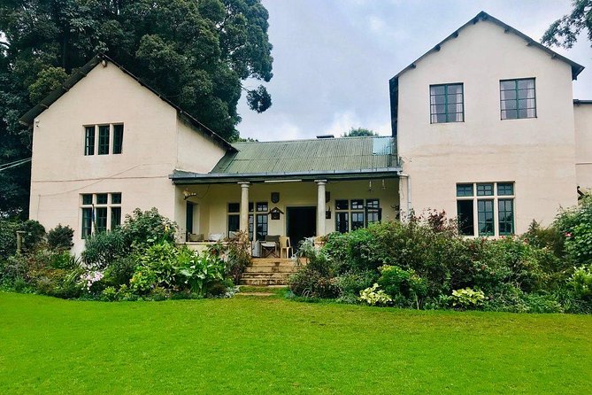 Nairobi to Kiambethu Tea Farm Tour - Gardens, birds, and a slower pace