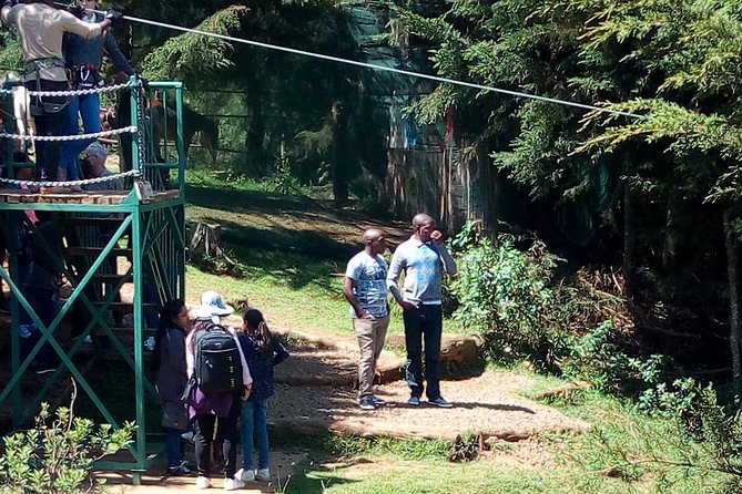 Nairobi Zip Lining Adventure Experience - From Nairobi Streets to Aberdare Forest