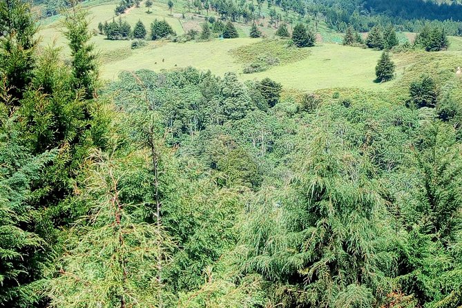 Nairobi Zip Lining Adventure Experience - Cancellation and Booking Timing
