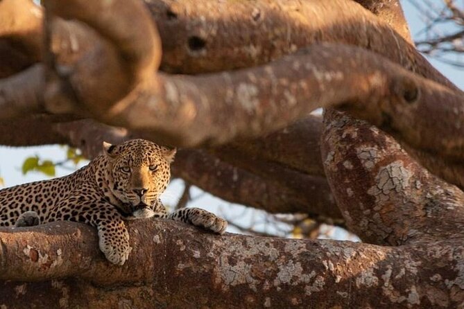 National Park Half-Day Group Tour in Nairobi with Pickup - The value of water, fruit, and the missing park fee