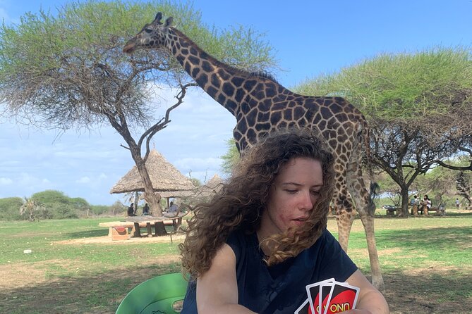 Nature Walk with Giraffes in Mombasa - Key points to know before you book