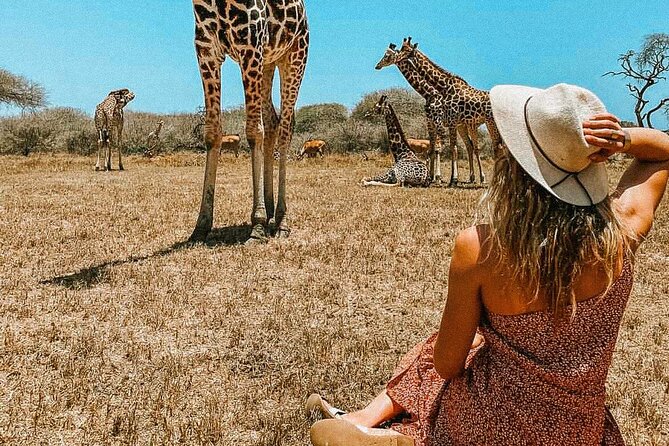 Nature Walk with Giraffes in Mombasa - Why the giraffe encounter is the main event