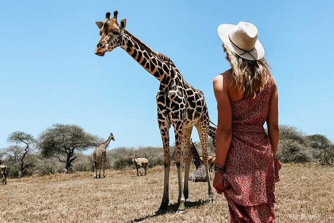 Nature Walk with Giraffes in Mombasa - Time to sit and enjoy the setting