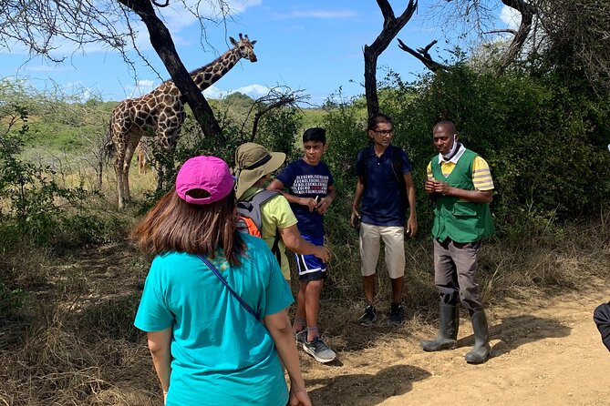 Nature Walk with Giraffes in Mombasa - Is $34 good value?