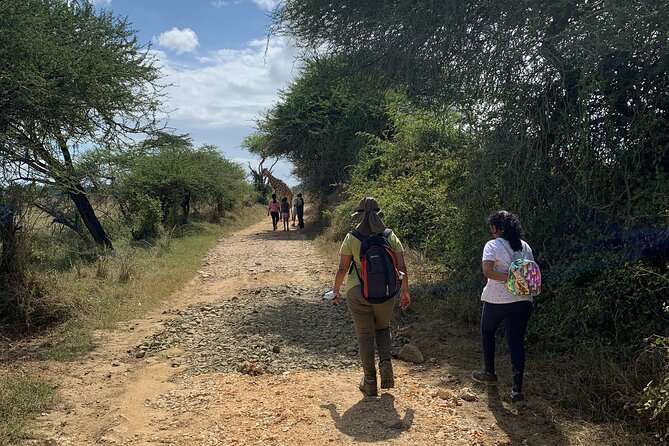 Nature Walk with Giraffes in Mombasa - A two-hour walk through Nguuni Nature Sanctuary