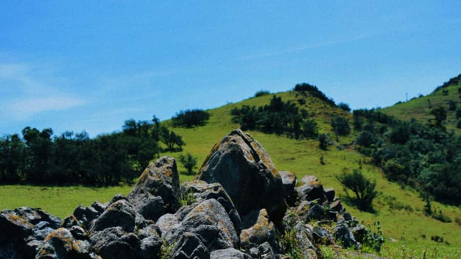 Ngong Hills: Private Hiking Tour - The one-hour ride from Nairobi