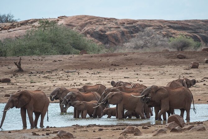Ol Pejeta Conservancy and Chimpanzee Sanctuary Full-Day Tour from Nairobi - The real cost of a 12-hour day