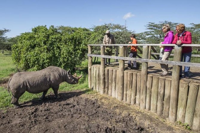 Ol Pejeta Conservancy Day Tour from Nairobi - The first two-hour game drive in northern Ol Pejeta