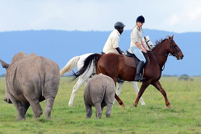 Ol Pejeta Conservancy Day Tour from Nairobi - Sweetwaters Serena Camp and the lodge watering hole