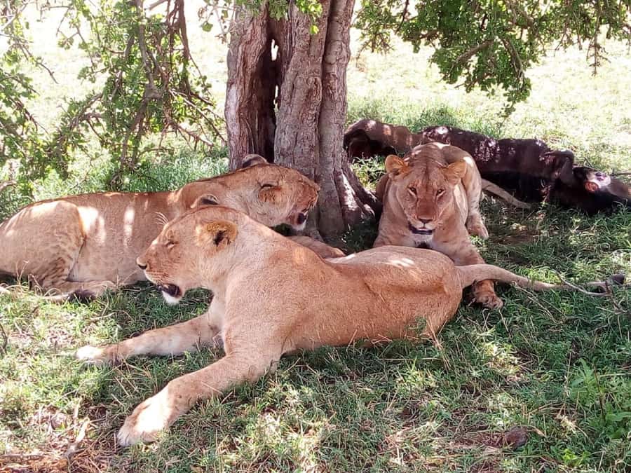 Ol Pejeta Conservancy Full Day Tour From Nairobi - Standing on the Equator in Nanyuki