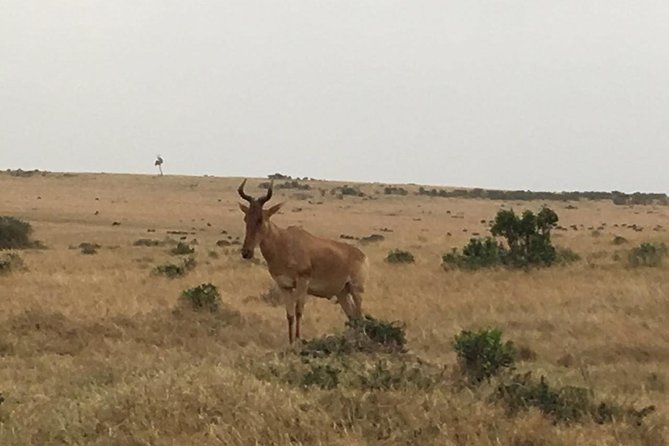 Olpejeta conservancy Day tour - Is $358.98 a Fair Price?