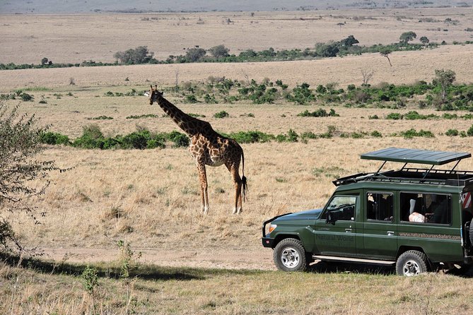 Olpejeta, Lake Naivasha, Masai Mara 5 Days Private Kenya Jeep tour - What the $2,880 price includes