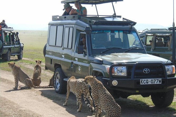 Olpejeta, Lake Naivasha, Masai Mara 5 Days Private Kenya Jeep tour - Day one: from Nairobi to Ol Pejeta