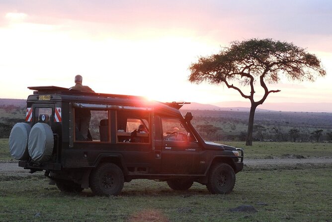 One Day Tour to Maasai Mara Game reserve from Nairobi - Picnic lunch under a tree