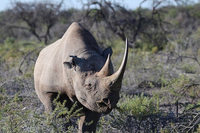 One Day Tour to Maasai Mara Game reserve from Nairobi - Is $270 a fair price?