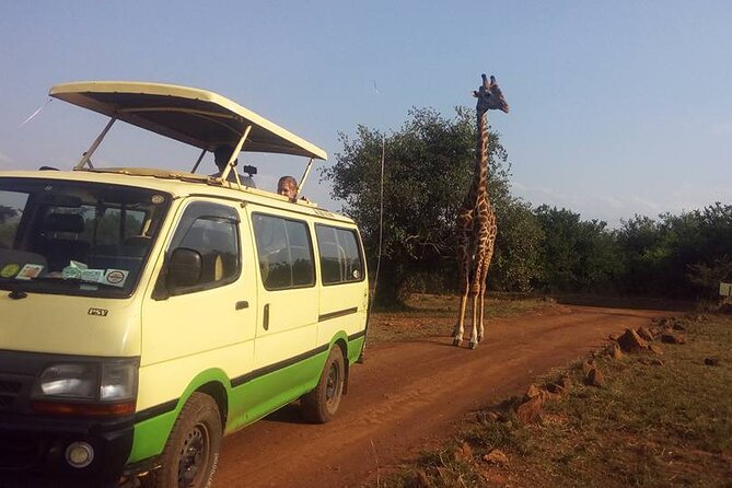 One Night (Mid-range) Amboseli National Park Safari - Emali and the road south