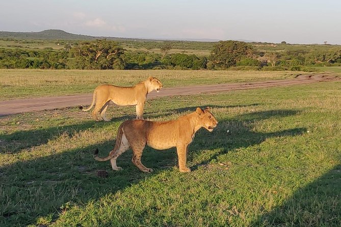 Overnight Amboseli National Park Safari from Nairobi - What the $600 price really covers